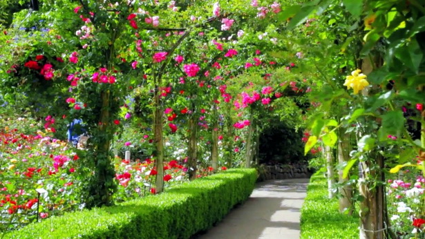 beautiful-gardens-50_3 Красиви градини