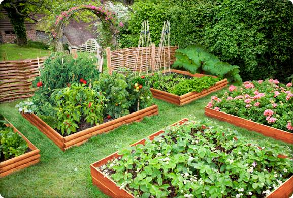beautiful-home-garden-ideas-70_19 Красиви идеи за домашна градина