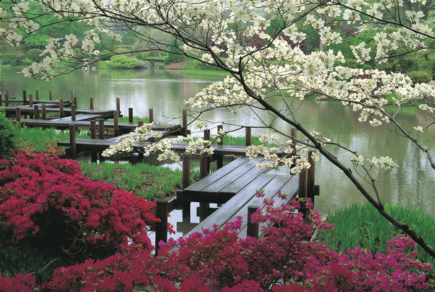 Красиви японски градини снимки