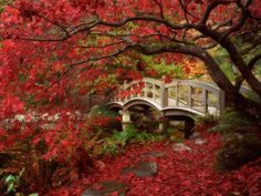 beautiful-japanese-gardens-pictures-27_10 Красиви японски градини снимки