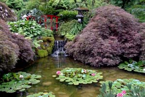beautiful-japanese-gardens-pictures-27_11 Красиви японски градини снимки