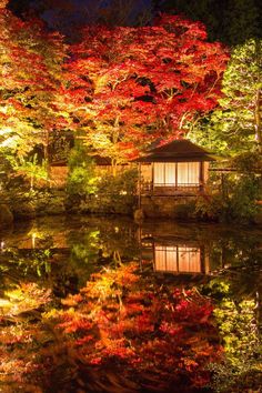 beautiful-japanese-gardens-pictures-27_14 Красиви японски градини снимки