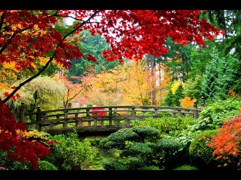beautiful-japanese-gardens-pictures-27_7 Красиви японски градини снимки