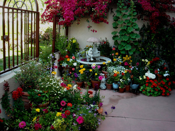 beautiful-patio-gardens-64_18 Красиви двор градини