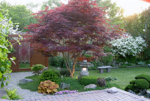 beautiful-patio-gardens-64_19 Красиви двор градини