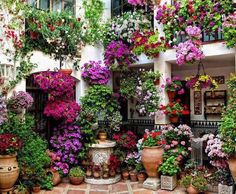 beautiful-patios-and-gardens-48_3 Красиви дворове и градини