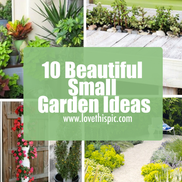 beautiful-small-garden-ideas-39_2 Красиви идеи за малка градина