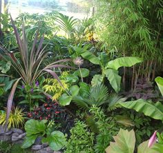 beautiful-tropical-gardens-06_10 Красиви тропически градини
