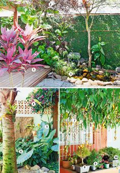 beautiful-tropical-gardens-06_15 Красиви тропически градини