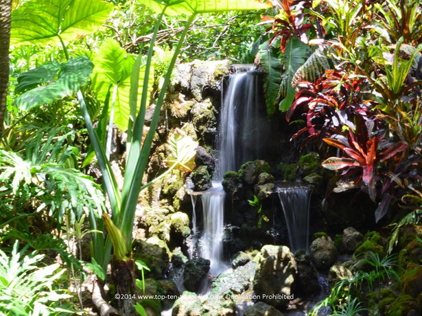 beautiful-tropical-gardens-06_16 Красиви тропически градини