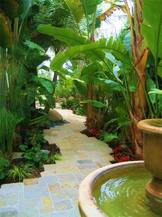 beautiful-tropical-gardens-06_6 Красиви тропически градини