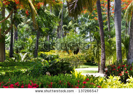 beautiful-tropical-gardens-06_8 Красиви тропически градини
