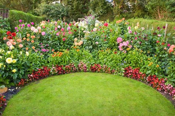 bedding-borders-for-gardens-54_9 Постелки граници за градини
