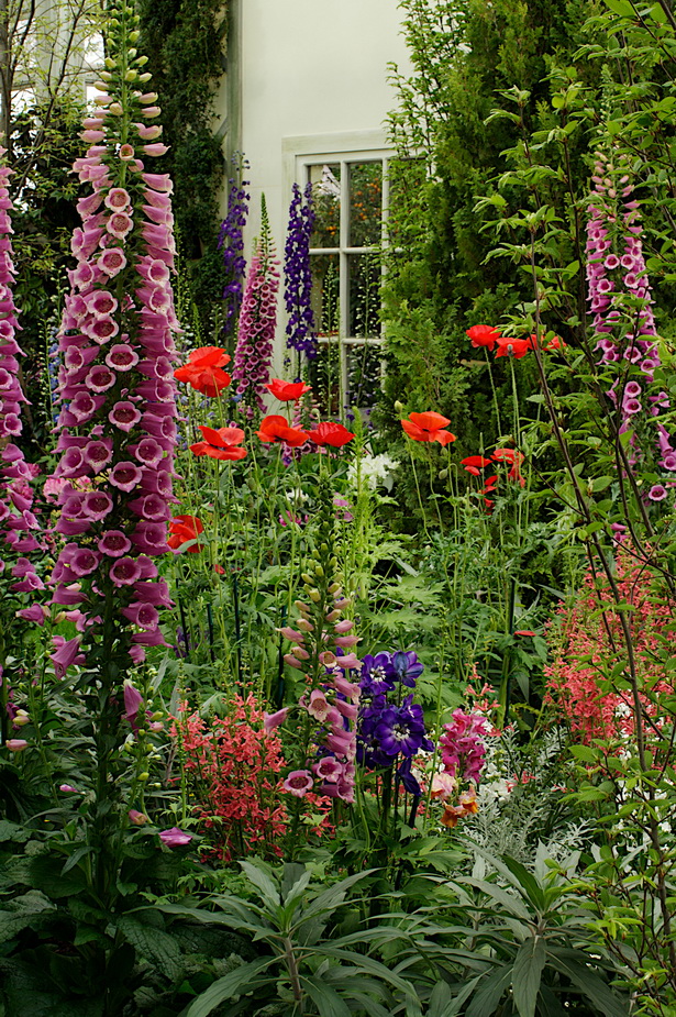 best-flowers-for-cottage-garden-09_11 Най-добрите цветя за вила градина