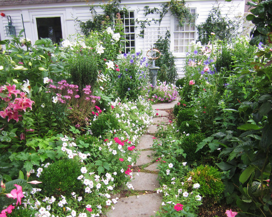 best-flowers-for-cottage-garden-09_3 Най-добрите цветя за вила градина