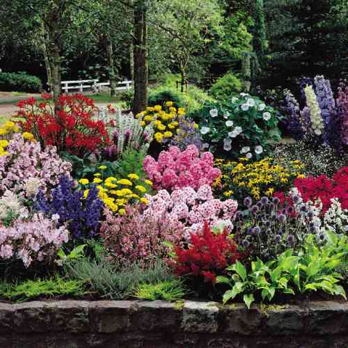 best-flowers-for-cottage-garden-09_8 Най-добрите цветя за вила градина
