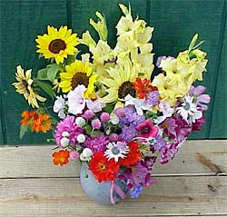 best-flowers-for-cottage-garden-09_9 Най-добрите цветя за вила градина
