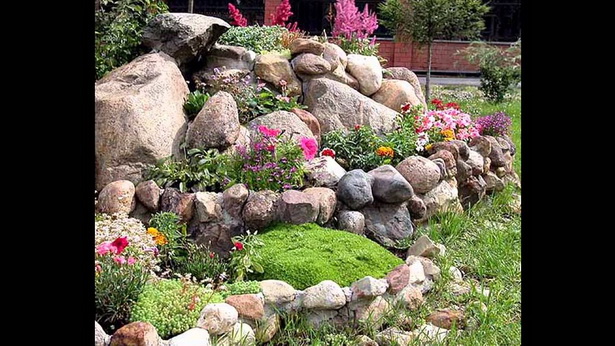 best-flowers-for-rock-gardens-64_17 Най-добрите цветя за алпинеуми