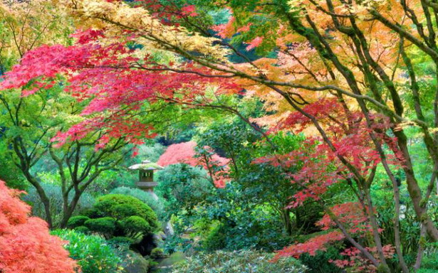 Най-добрите японски градини в света