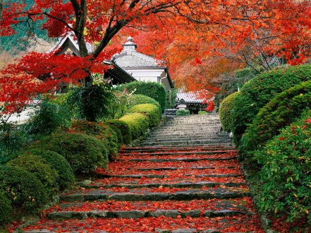 best-japanese-gardens-in-the-world-78_15 Най-добрите японски градини в света