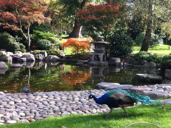 best-japanese-gardens-in-the-world-78_16 Най-добрите японски градини в света