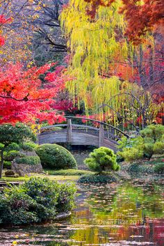 best-japanese-gardens-in-the-world-78_17 Най-добрите японски градини в света