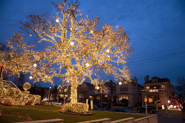 best-outdoor-lights-for-trees-13 Най-добрите външни светлини за дървета