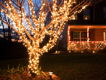 best-outdoor-lights-for-trees-13_14 Най-добрите външни светлини за дървета