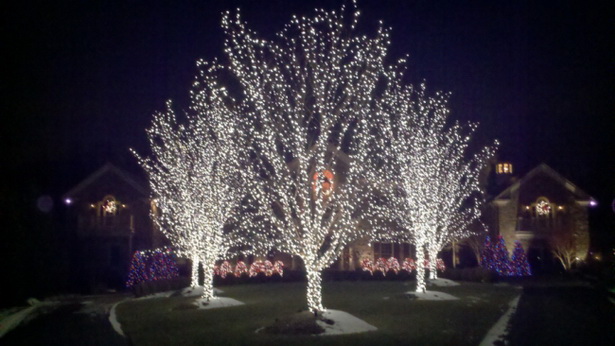 best-outdoor-lights-for-trees-13_5 Най-добрите външни светлини за дървета