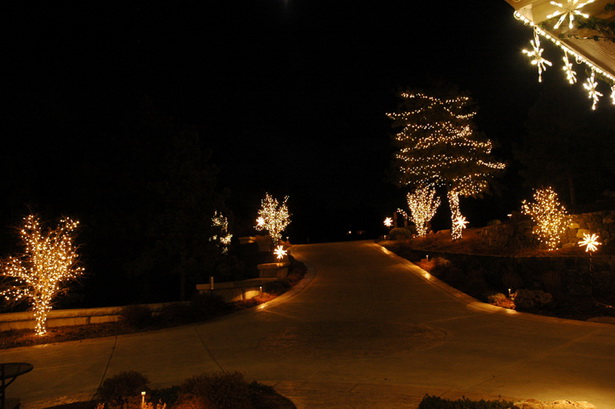 best-outdoor-lights-for-trees-13_9 Най-добрите външни светлини за дървета