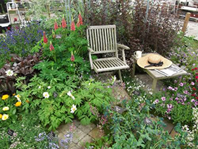 best-plants-for-a-cottage-garden-55_2 Най-добрите растения за вила градина