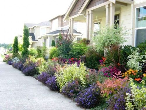 best-plants-for-front-yard-40_18 Най-добрите растения за предния двор