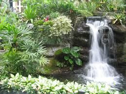 best-plants-for-japanese-garden-03_10 Най-добрите растения за Японската градина
