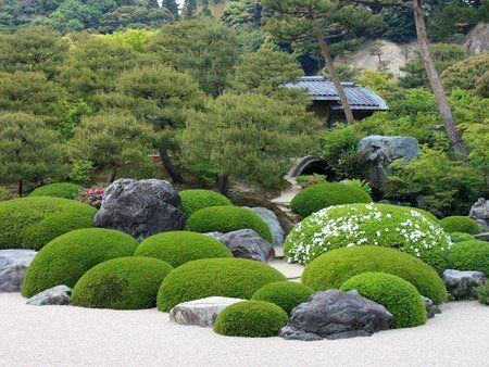 best-plants-for-japanese-garden-03_18 Най-добрите растения за Японската градина