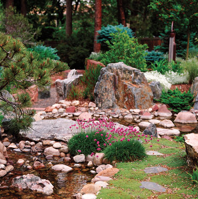 best-plants-for-rock-gardens-50_18 Най-добрите растения за алпинеуми