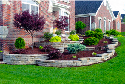best-shrubs-for-front-yard-landscaping-76_5 Най-добрите храсти за озеленяване на предния двор