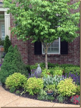 best-shrubs-for-front-yard-19_10 Най-добрите храсти за предния двор