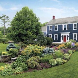 best-shrubs-for-front-yard-19_11 Най-добрите храсти за предния двор