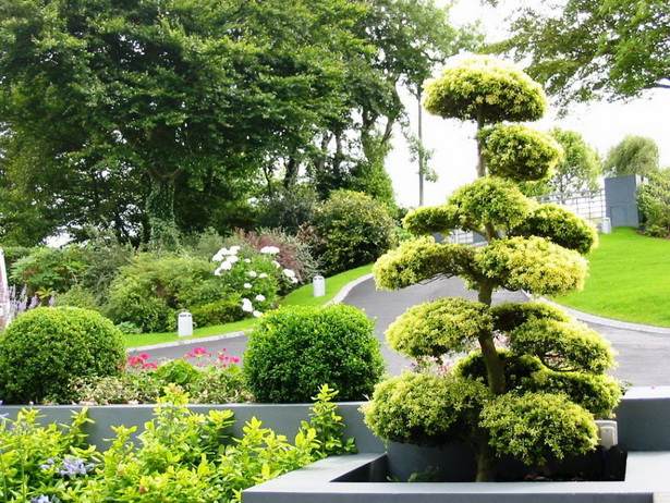 best-shrubs-for-front-yard-19_18 Най-добрите храсти за предния двор