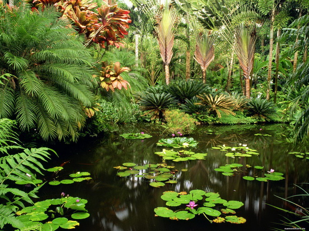 best-tropical-gardens-53_15 Най-добрите тропически градини