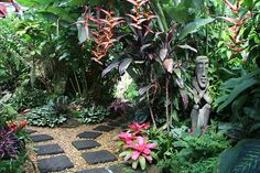 best-tropical-gardens-53_18 Най-добрите тропически градини