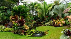 best-tropical-gardens-53_20 Най-добрите тропически градини