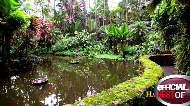 best-tropical-gardens-53_3 Най-добрите тропически градини