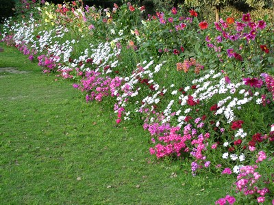 border-flower-garden-76_4 Гранична цветна градина