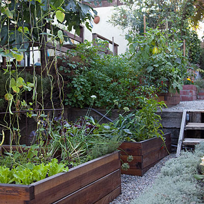 building-a-backyard-garden-74_2 Изграждане на градина в задния двор