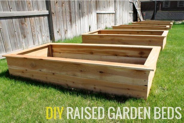 building-raised-garden-beds-81 Изграждане на повдигнати градински легла