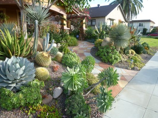 cactus-front-yard-landscaping-02 Кактус преден двор озеленяване