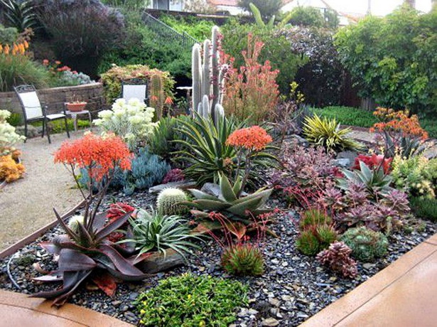 cactus-front-yard-landscaping-02_10 Кактус преден двор озеленяване