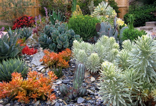 cactus-front-yard-landscaping-02_11 Кактус преден двор озеленяване