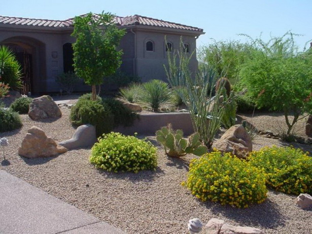 cactus-front-yard-landscaping-02_13 Кактус преден двор озеленяване